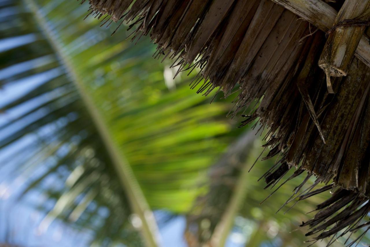 The Mida Creek Hotel Watamu Exteriér fotografie