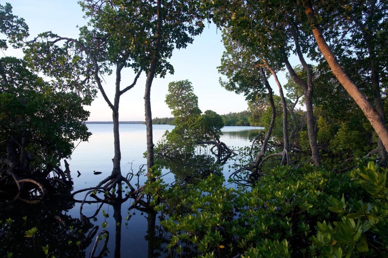 The Mida Creek Hotel Watamu Exteriér fotografie