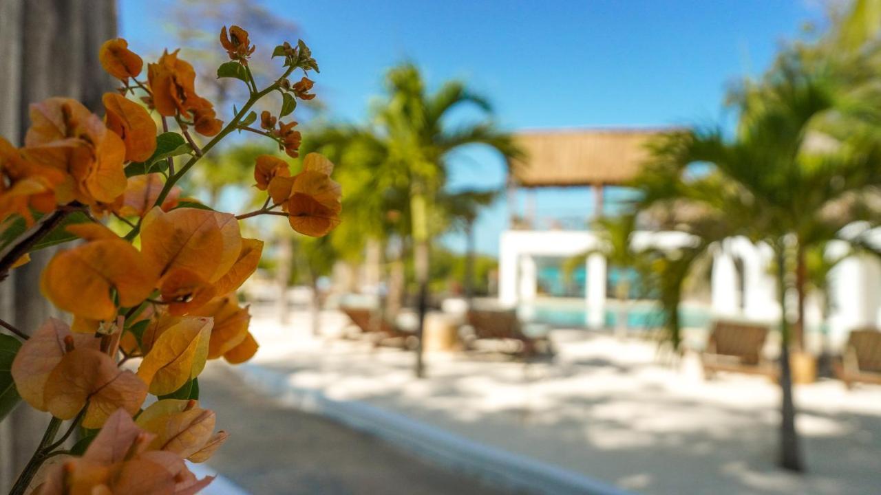 The Mida Creek Hotel Watamu Exteriér fotografie